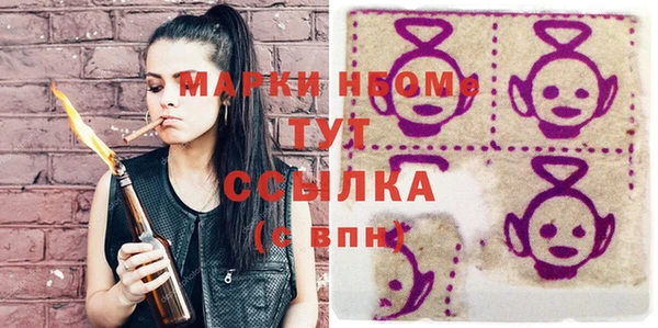 гашик Алексин