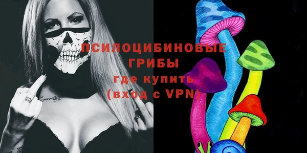дурь Алексеевка